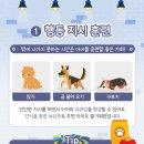 지엔동물병원 네이버블로그