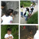 버섯구지마을 이미지