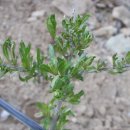 말무리농장 이미지