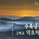태백산약초원 이미지
