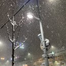 동복메기탕 이미지