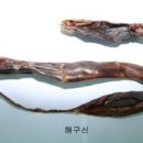 해구신2