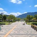 내장산국립공원 내장호야영장 이미지