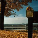 가을이네 이미지