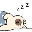 수정-7 이미지