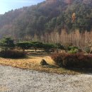 강림면350 이미지