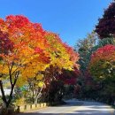 지리산칸호텔 이미지