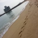 20013년11월5일 화요일 출석부/ 편안한 밤 되셨지요~?ㅎㅎ 이미지