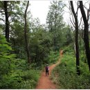 올레길 도심형 1코스 이미지