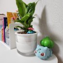 초록홀딩스 이미지