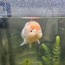 몽몽이엠파크 이미지