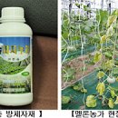 [전남] 『뿌리혹선충』친환경 방제자재 개발 이미지