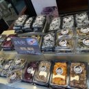 갯배스테이 이미지