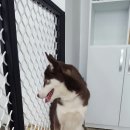 에반스 힐 이미지