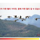 (주)우복당식품 네이버블로그