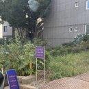 스윕세컨드 | 기장 로스터리 다이어터의 성지 다량의 노슈거단백질 메뉴 <스윕세컨드 로스터리> 솔직 후기