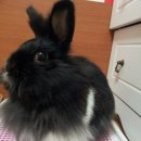 다함동물병원 이미지