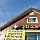 두리꼬꼬댁 이미지