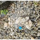 덕진-32 | 하수구막힘 완벽해결 후기! 전주 덕진구하수구막힘