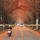 돌산중학교 이미지