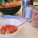 씨젤리피쉬 이미지