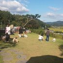 퍼피프렌즈 이미지