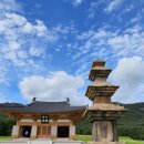 한실농박 이미지