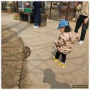 팜랜드 | 안성팜랜드 후기 총정리｜입장료부터 체험, 아이랑 방문 꿀팁까지 솔직 리뷰