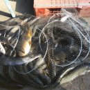 산유낚시터 이미지