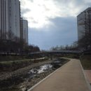 D-23 | 스위치온 다이어트 후기 23일/ D-5