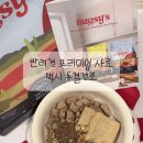 벅시 - 중구 종로 35 | 반려견 동결건조 사료 ‘벅시’ 후기 / 프리미엄 사료 추천