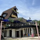 아랫배알미길 이미지