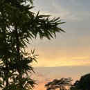 산호초등학교(병설유치원) 이미지