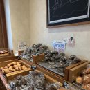 맘모스정비 | 대구 빵지순례 소금빵 맛집 소베 빵추천 웨이팅 후기