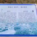 제788차 영동 민주지산 삼도봉산행 & 물한계곡 (하계야유회) 이미지