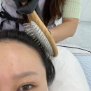 몽실이비어 - 수영구 광일로 17 | 인천속눈썹생장술 설레인라인 두피관리 솔직후기