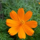 청룡초등학교 이미지