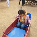 양훈농장 | 청주근교 아이랑 가기 좋은 카페 에코팜