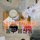 도심에서 느끼는 전원 빅카페 네이프 광주 책 읽기 좋은 카페