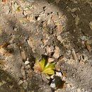 문동휴양림 주차장 이미지