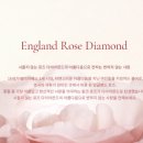 로즈다이아몬드 이미지