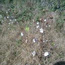 돌다리 농장 이미지