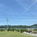 식물원복합식당