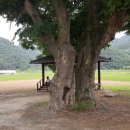 매호리 경로당 이미지