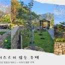 돌담공인중개사사무소 이미지