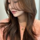 앤헤어 이미지