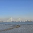 구읍뱃터 이미지