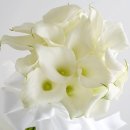 (주)드리고 이미지