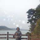 금평천 Daum카페