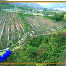 명성2농장 이미지